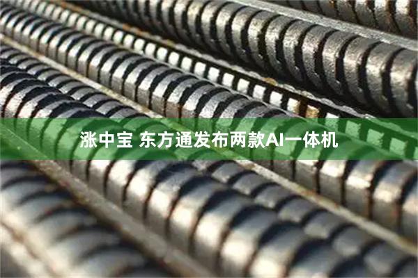 涨中宝 东方通发布两款AI一体机