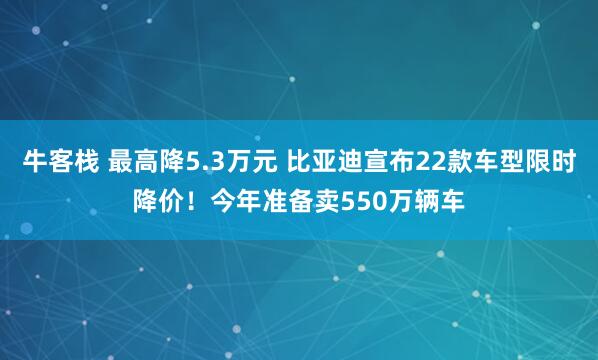 牛客栈 最高降5.3万元 比亚迪宣布22款车型限时降价！今年准备卖550万辆车