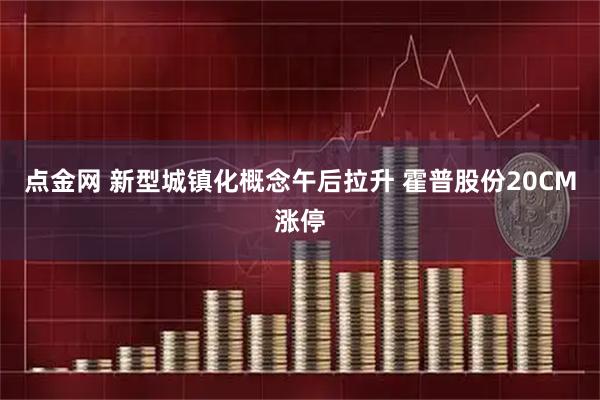 点金网 新型城镇化概念午后拉升 霍普股份20CM涨停