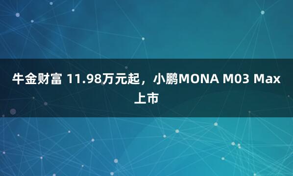 牛金财富 11.98万元起，小鹏MONA M03 Max上市