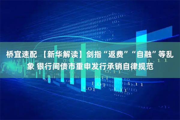 桥宜速配 【新华解读】剑指“返费”“自融”等乱象 银行间债市重申发行承销自律规范