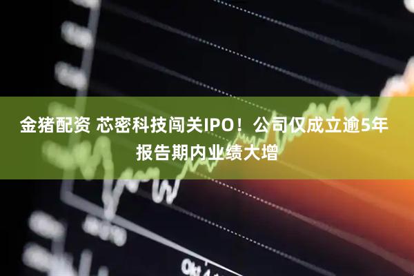 金猪配资 芯密科技闯关IPO！公司仅成立逾5年 报告期内业绩大增