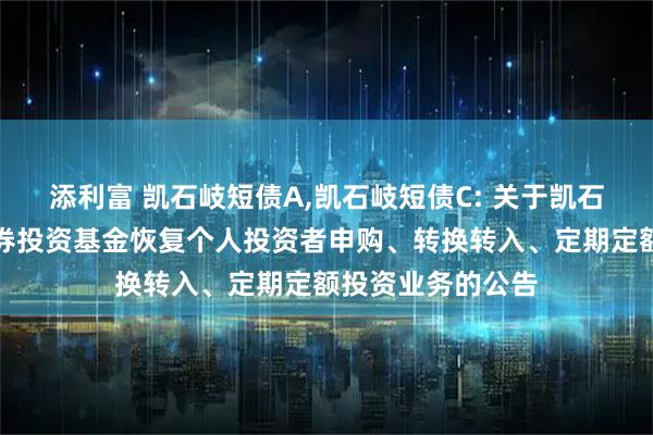 添利富 凯石岐短债A,凯石岐短债C: 关于凯石岐短债债券型证券投资基金恢复个人投资者申购、转换转入、定期定额投资业务的公告