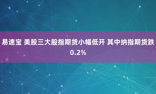 易速宝 美股三大股指期货小幅低开 其中纳指期货跌0.2%