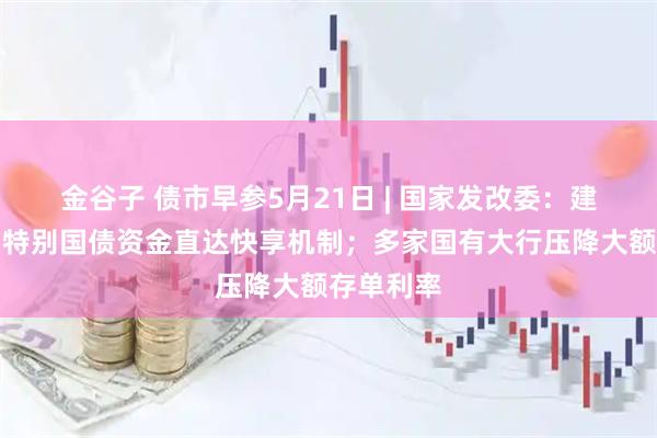金谷子 债市早参5月21日 | 国家发改委：建立超长期特别国债资金直达快享机制；多家国有大行压降大额存单利率