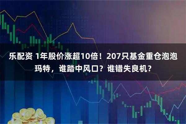 乐配资 1年股价涨超10倍!207只基金重仓泡泡玛特,谁踏中风口?谁错失良机?