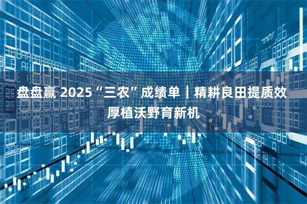 盘盘赢 2025“三农”成绩单｜精耕良田提质效 厚植沃野育新机